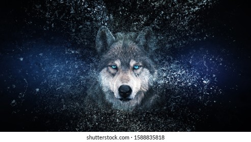 Portrait of a wolf on a black background with stars and fire, Ai Generative  Image 23174855 Stock Photo at Vecteezy