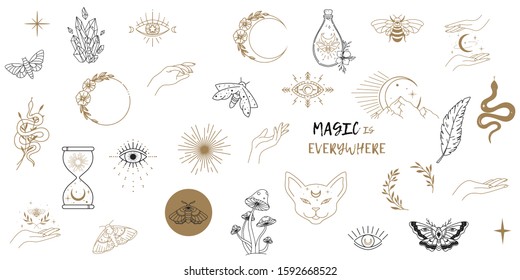 Magic Hand PNG Transparent Images Free Download, Vector Files