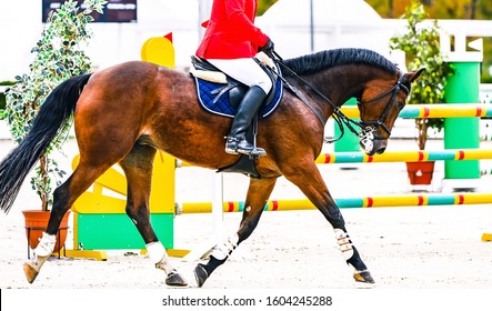 Zuring dressuurpaard en ruiter in uniform presterende sprong op springconcours. Paardensport achtergrond. Kastanje paard portret tijdens dressuurwedstrijd.