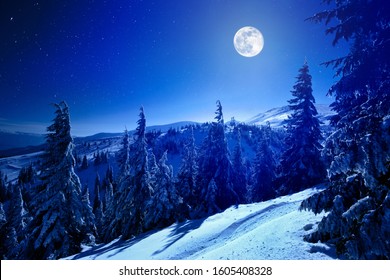 Volle maan over winter diep bos bedekt met sneeuw op winternacht met veel sterren aan de hemel. Landschap van winter wonderland natuur concept
