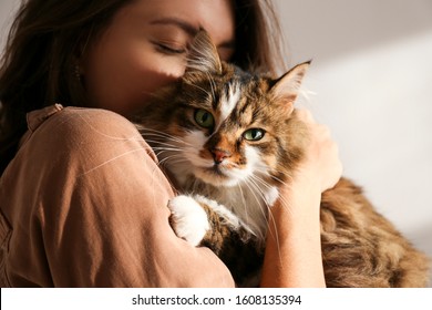 緑の目でかわいいシベリア猫を保持している若い女性の肖像画。かわいい長い髪の子猫を抱きしめる女性。背景、コピー スペース、クローズ アップ。愛らしい国内ペットのコンセプト。