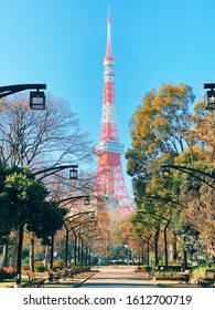 Tháp Tokyo từ cảnh phim