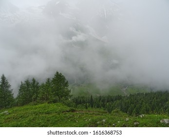 Blick vom Berg auf den Wald. Nebel. Alpen