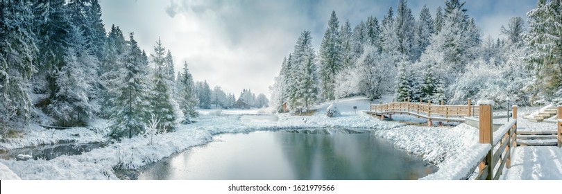 Winterbos in de Karpaten, het Vitameer, Mizhhiria, West-Oekraïne