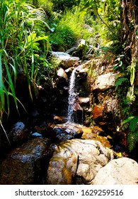 Photo of a Mini waterfall that looks like a pond
These mini waterfall is in fact from a river stream created from a waterfall
The waterfall is called Curug Leuwi Hejo