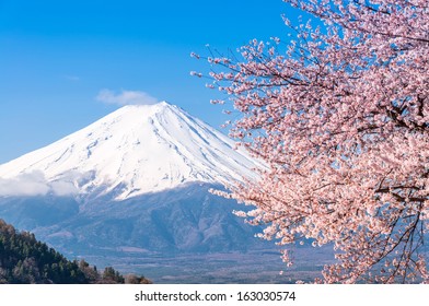 Mt Fuji and Cherry Blossom at lake Kawaguchiko 