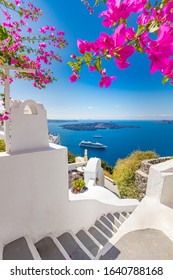 Oia Stadt auf Santorini Insel, Griechenland. Traditionelle berühmte weiße blaue Häuser mit Blumen unter sonnigem Wetter über der Caldera, Ägäisches Meer. Schöne Sommerlandschaft, Meerblick, Luxusreiseurlaub