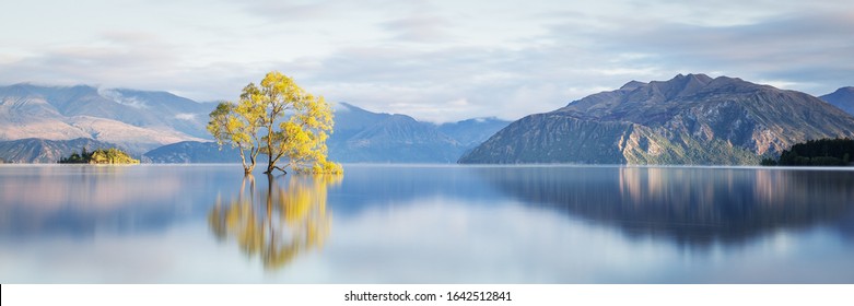 ニュージーランドのワナカ湖。ワナカの木。山の湖の風景のパノラマ。横向きのウェブサイトのバナーの背景。カラフルな風景。ニュージーランドの風景。人気の旅行先 オタゴ サウス アイランド NZ
