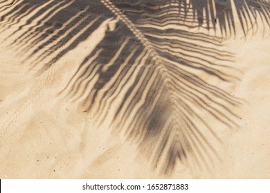 Arena de playa tropical con sombras de hojas de palmeras de coco. Antecedentes del concepto de viajes y vacaciones.