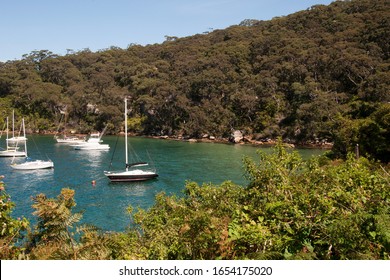 Сідней, Австралія, яхта пришвартована в затоці Тейлор в оточенні чагарників