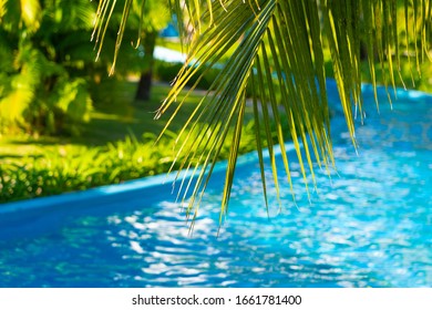 Lazy River 2K wallpaper download
