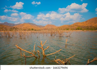 Dry trees and tree branches are dead in the middle of lake and beautiful mountain with dramatic clouds. Natural view of little dead trees in the reservoir. Beautiful view of dried trees in the lake.