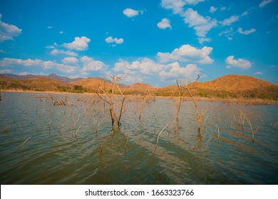 Dry trees and tree branches are dead in the middle of lake and beautiful mountain with dramatic clouds. Natural view of little dead trees in the reservoir. Beautiful view of dried trees in the lake.