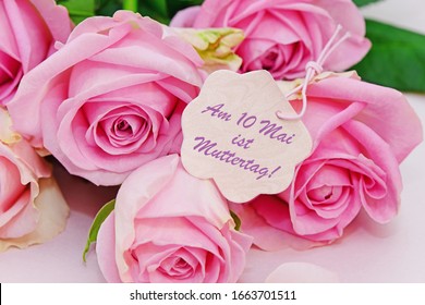 5 月 10 日は母の日 ( Am 10 Mai ist Muttertag ) 、ピンクのバラ