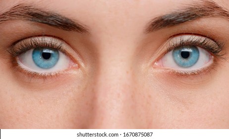 Close up photo. Blue eyes of the girl near. Clean skin and well-groomed. Beautiful eyebrows. In the eyes of reflection.