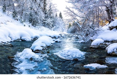 雪の冬の森の川