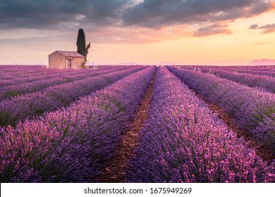 Ein einsames Haus in Lavendelfeldern in der Nähe von Valensole, Provence, Frankreich