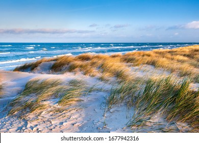 嵐のバルト海、沿岸砂丘のあるビーチ、ダルス半島、ドイツ
