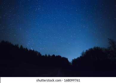 un hermoso cielo nocturno, la Vía Láctea y los árboles