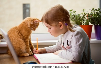 Educar en casa. Niña niña hacer la tarea con gato mascota. Gracioso gatito jengibre sentado en la mesa donde el niño está escribiendo. De vuelta a la escuela.