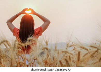 Die Jungfrauenhand machte am Morgen ein herzförmiges Symbol über den goldenen Gerstenfeldern, um Freundschaft, Liebe und Mitgefühl zu symbolisieren. Liebe und Freundschaft über den goldenen Gerstenfeldern zeigen