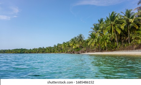 Entorno de papel tapiz tropical de una hermosa isla con playas de arena blanca, agua turquesa clara y palmeras selváticas tres zonas verdes del archipiélago panameño natural y colorido en el Caribe.