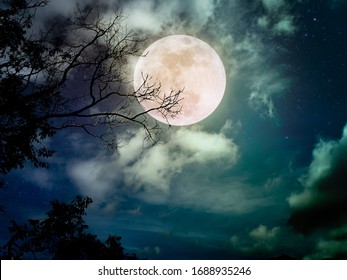 Landscape of dark night sky with many stars. Beautiful bright full moon above wilderness area in forest. Serenity nature background.