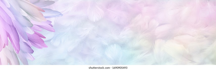 Fondo de pancarta de mensaje de pluma de ángel pastel multicolor: un montón de plumas largas de color arco iris en la esquina izquierda y una amplia área de mensaje con pequeñas plumas esponjosas aleatorias de color pastel