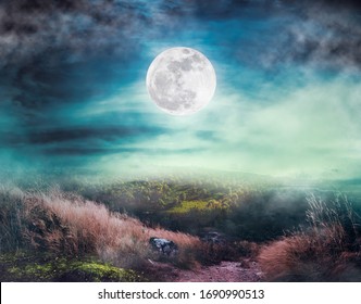 Landschap van nachtelijke hemel met wolken. Mooie heldere volle maan boven wildernisgebied in bos. Landweg door velden van het platteland 's nachts. Sereniteit natuur achtergrond.