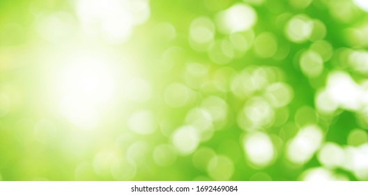 Fundal cu frunze verzi. Frunza încețoșată. Cercul bokeh din frunze cu lumină strălucind. Concept lume verde. Fundal abstract.