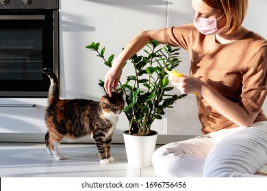 La mujer independiente que usa una máscara protectora se distrae con el juego con el gato mientras limpia el polvo de las hojas de las plantas de interior durante la cuarentena debido al coronavirus, sentada en el piso. Amor por las mascotas