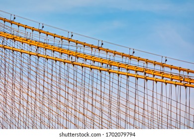 Red de cables del puente de Brooklyn contra el cielo azul, Nueva York