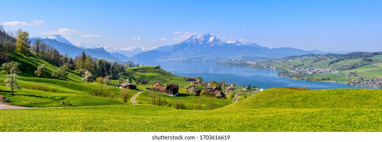 Panoramablick auf den Vierwaldstättersee, grüne Almwiesen, die im Frühling blühen, und die Alpenkette mit dem Pilatus, Schweiz