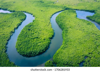 Luchtfoto van Amazone-regenwoud in Brazilië, Zuid-Amerika. Groen bos. Vogelperspectief.