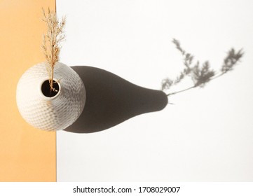 minimalistic still life top view. ceramic vase with dried flowers on a white and orange background. Stylish minimalistic still life. Atmospheric photo with a flower. top view of a vase with a flower