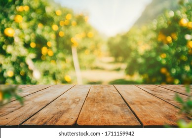 Meja kayu kosong dengan ruang kosong di atas pohon jeruk, latar belakang bidang oranye. Untuk montase tampilan produk