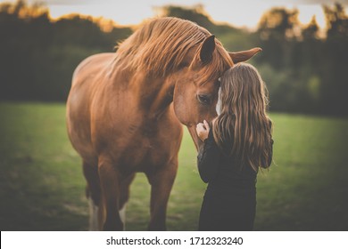 Schattig klein meisje met haar paard op een mooie weide verlicht door warm avondlicht