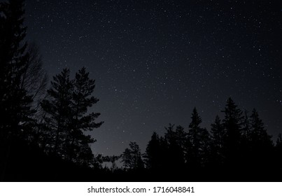 Nachthimmel mit sichtbaren Sternen an einem abgelegenen Ort, an dem Sie Baumwipfel sehen können