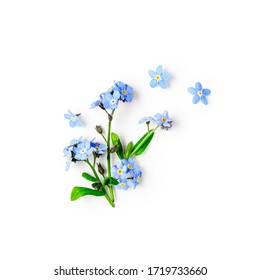 ブルーワスレナグサ花ではなく、白い背景のクリッピングパスに分離されたクリエイティブな構成が含まれています。春と母の日のコンセプト。デザイン要素、フラットレイ、上面図