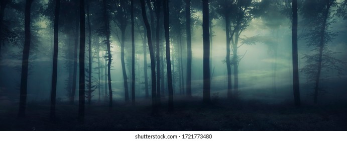 暗い神秘的な森のパノラマ、幻想的な風景