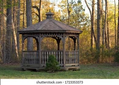 A wooden gazebo with a small tree adorning it in front of a woodline during golden hour.
