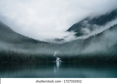 Snelle kreek stroomt tussen bomen en mondt uit in bergmeer. Sombere mistige landschap met hooglandmeer en donker bos tussen lage wolken. Alpine sfeervol landschap met naaldbossen in dichte mist.