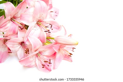 Grußkartendesign mit rosa Lilienblumen isoliert auf weißem Hintergrund