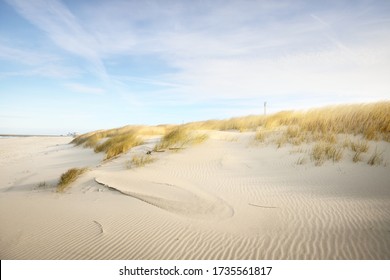 巻雲と明るい青空の下のアンホルト島の海岸 (砂漠)。砂丘と植物 (アンモフィラ) のクローズ アップ。環境保全、エコツー リズムのテーマ。カテガット、デンマーク