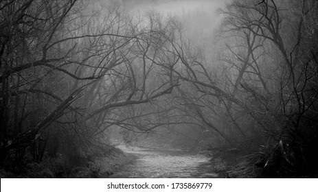 Foggy Night at the Winter River HD wallpaper download