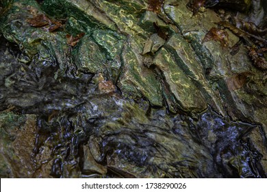 Textura criada pela natureza. Pedras molhadas e riacho.