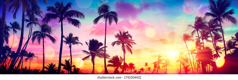 Silueta de palmeras tropicales al atardecer - Vacaciones de verano con tono vintage y luces bokeh