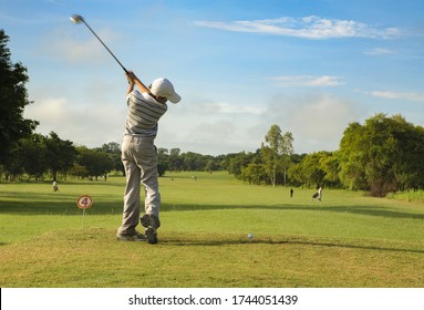 cobra golf logo vector