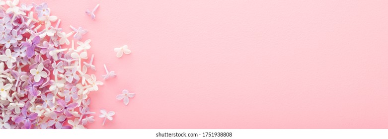 Fresh pink, purple and white lilac blossoms on light table background. Pastel color. Beautiful flower wide banner. Closeup. Empty place for inspirational text, lovely quote or positive sayings.