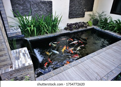 kolam ikan koi minimalis dari atas view, cocok untuk halaman belakang rumah